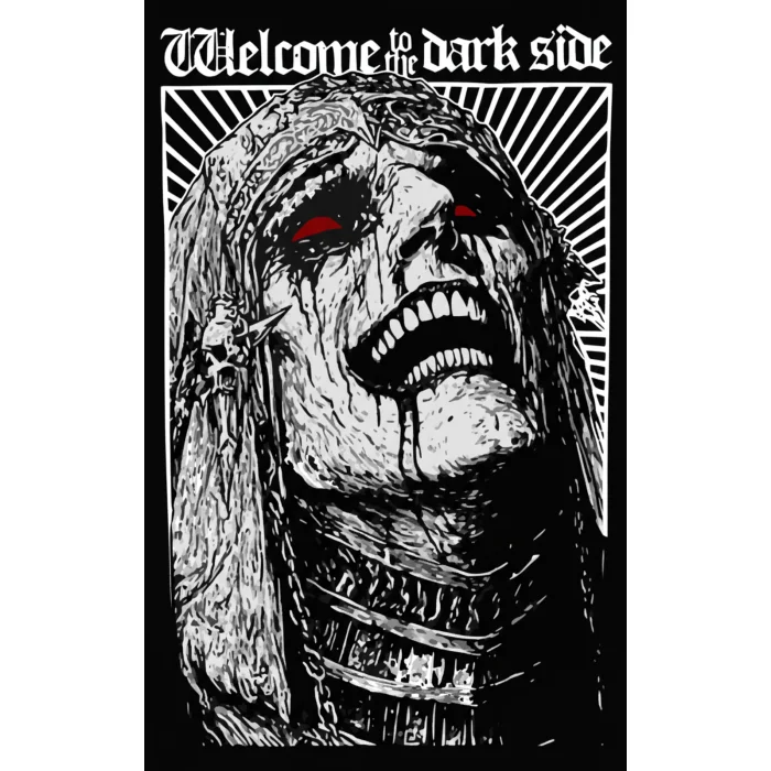 T-shirt z nadrukiem Welcome To The Dark Side
